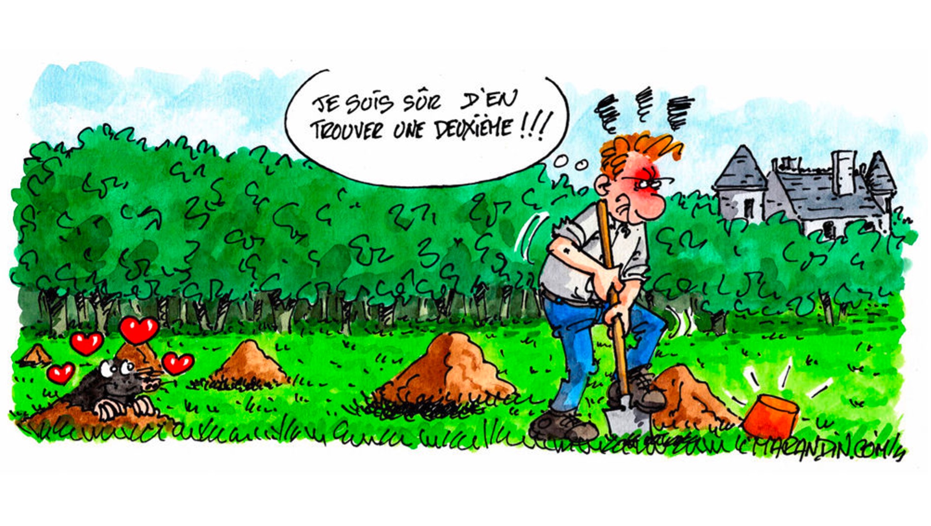 Le bornage judiciaire