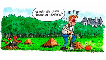 Le bornage judiciaire